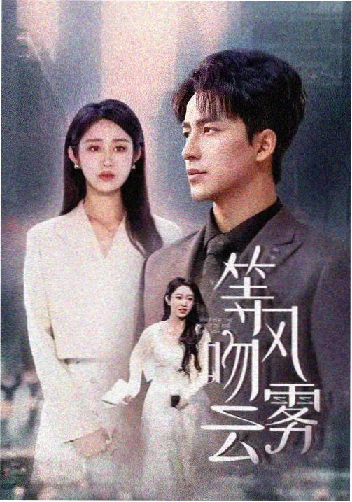 迷雾追踪 全集观看